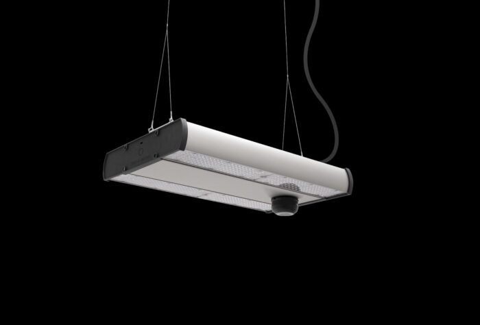 Cree Lighting Industria