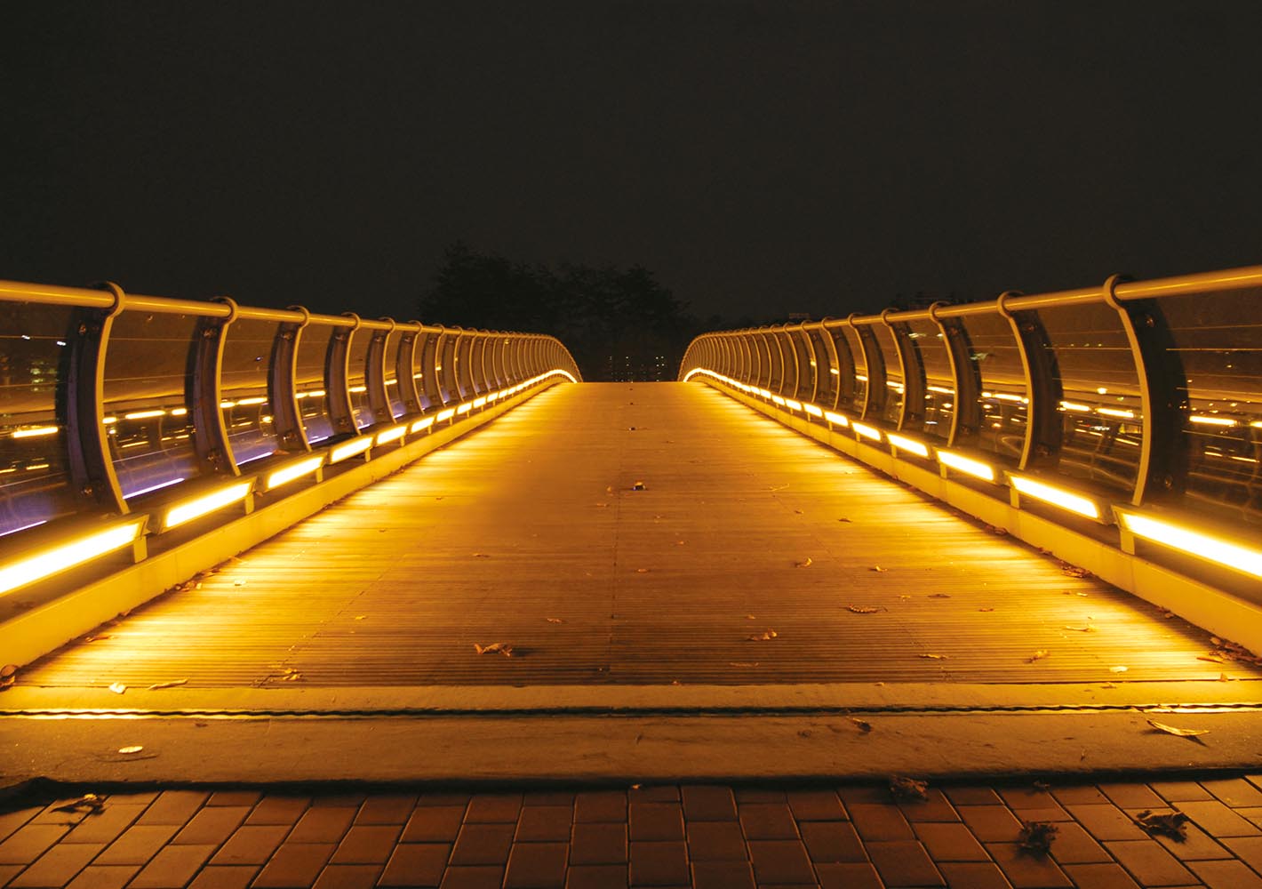 Pedestrian & Pathway